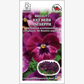 Виола Кул вейв Ресберри /Сотка/ 5 шт/*350