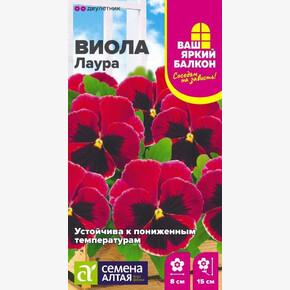 Виола Лаура/ Семена Алтая