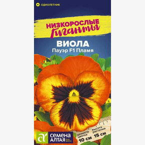Виола Пауэр F1 Пламя/Сем Алт/цп 4 шт. Низкорослые гиганты