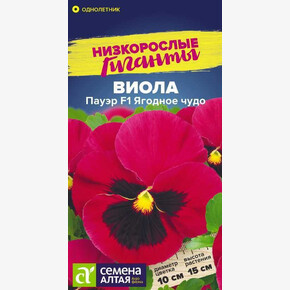 Виола Пауэр F1 Ягодное чудо/Сем Алт/цп 5 шт. Низкорослые гиганты