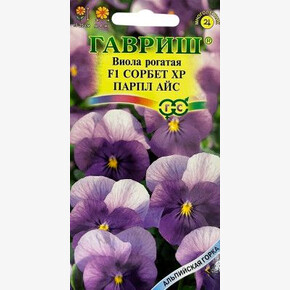 Виола Сорбет ХР Парпл Айс/ Гавриш