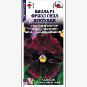 Виола Фризл Сизл Бургунди /Сотка/ 5шт/ h-20см, d-8см/*500