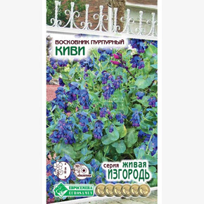 Восковник КИВИ 5 шт/ Евросемена