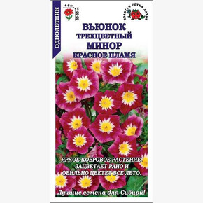 Вьюнок Минор Красное пламя /Сотка/ 0,5г