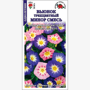 Вьюнок Минор трехцветный /Сотка/ 20-30см