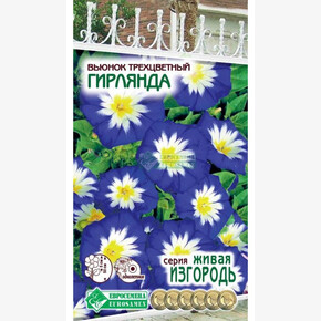 Вьюнок трехцветный Гирлянда/ Евросемена