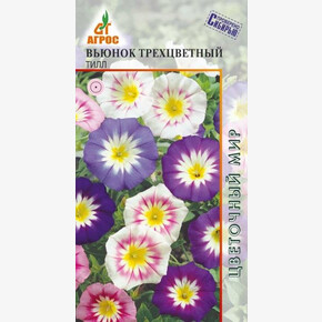 Вьюнок трехцветный Тилл 0.5г*