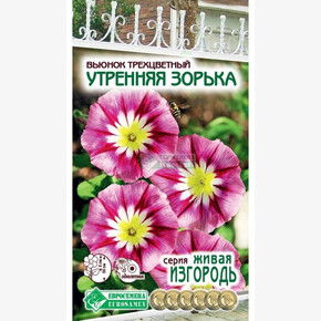 Вьюнок трехцветный Утренняя Зорька/ Евросемена