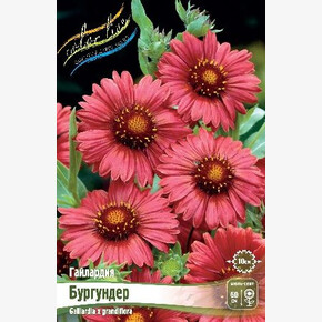 ГАЙЛАРДИЯ БУРГУНДЕР