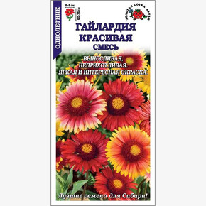 Гайлардия Красивая / Сотка
