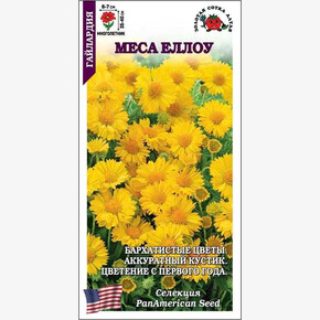 Гайлардия Меса Еллоу /Сотка/ 5 шт Панам
