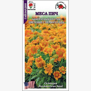 Гайлардия Меса Пич /Сотка/ 5 шт Панам