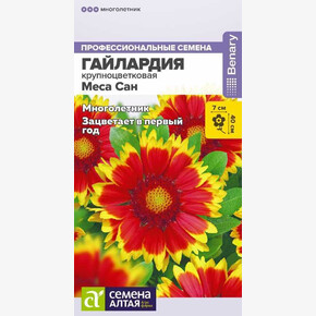 Гайлардия Меса Сан/Сем Алт/цп 3 шт. многолетник НОВИНКА