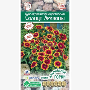 Гайлардия Солнце Аризоны/ Евросемена