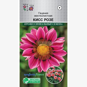 Гацания КИСС РОЗЕ жестколистная 5 шт/ Евросемена