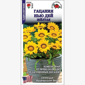 Гацания Нью Дей желтая/ Сотка