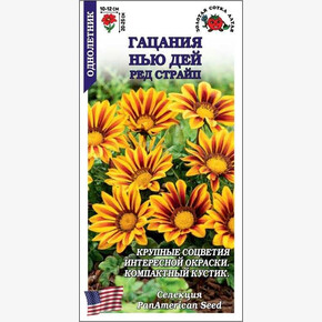 Гацания Нью Дей Ред Страйп /Сотка/