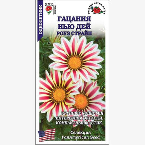 Гацания Нью Дей Роуз Страйп/ Сотка