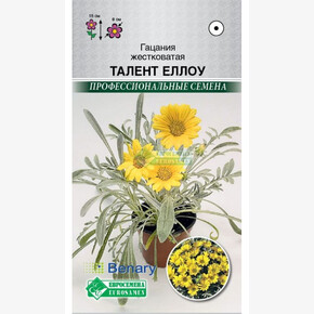 Гацания ТАЛЕНТ ЕЛЛОУ жестковатая (5 шт)/ Евросемена