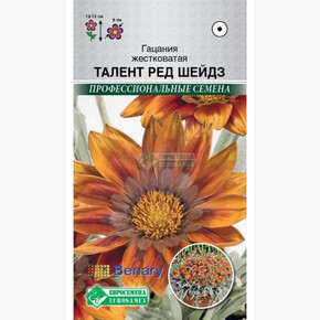 Гацания Талент Ред Шейдз/ Евросемена