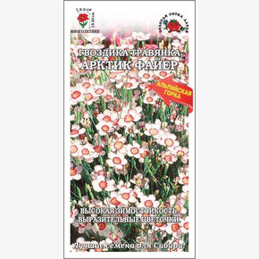 Гвоздика Арктик Файер травянка/ Сотка/ 0,05г