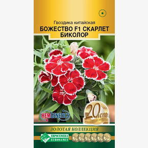 Гвоздика Божество Скардет Биколор 5шт/ Евросемена