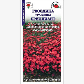 Гвоздика Бриллиант/ Сотка