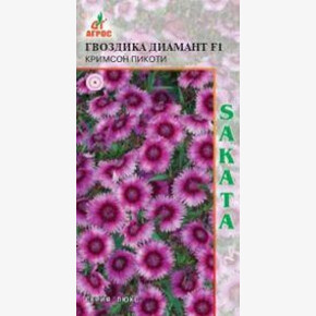 Гвоздика Диамант Кримсон Пикоти /Агрос