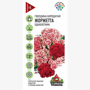 Гвоздика Жоржетта/ Гавриш