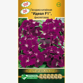Гвоздика Идеал фиолетовая F1/ Евросемена