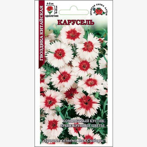 Гвоздика Карусель /Сотка/ 0,5г/ красн-бел h-20см, d-5см/*1200