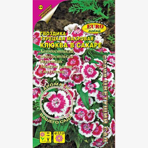 Гвоздика Клюква в сахаре 0,15г/ Аэлита Экстра