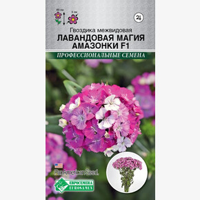 Гвоздика ЛАВАНДОВАЯ МАГИЯ АМАЗОНКИ межвидовая 3 шт/ Евросемена