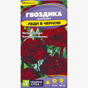 Гвоздика Леди в черном/Семена Алтая/цп 0,05 гр. двулетник (2029 / 42664)
