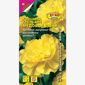 Гвоздика Медовая Дыня 0,1г/ Аэлита Экстра