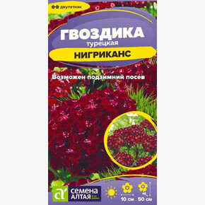 Гвоздика Нигриканс/Сем Алт/цп 0,05 гр. двулетник