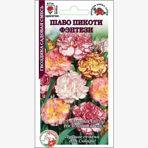 Гвоздика Пикоти Фентези/ Сотка