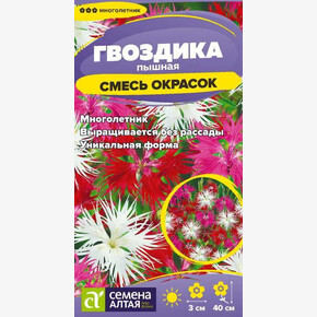 Гвоздика пышная Смесь окрасок/Сем Алт/цп 0,1 гр. многолетник