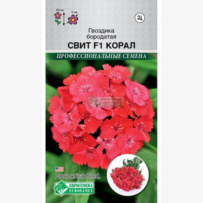 Гвоздика СВИТ КОРАЛ бородатая (5 драже)/ Евросемена