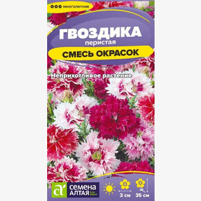 Гвоздика Смесь окрасок/Сем Алт/цп 0,1 гр. многолетник