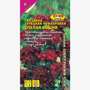 Гвоздика Спелая вишня 0,2г/ Аэлита Экстра