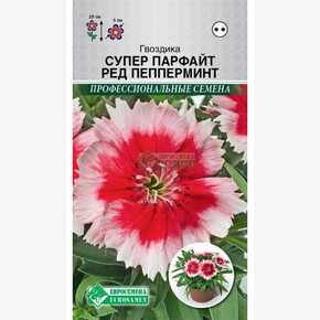 Гвоздика СУПЕР ПАРФАЙТ РЕД ПЕППЕРМИНТ (5 шт)/ Евросемена