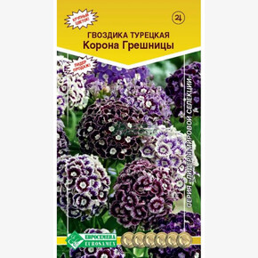 Гвоздика турецкая КОРОНА ГРЕШНИЦЫ (5 шт)/ Евросемена