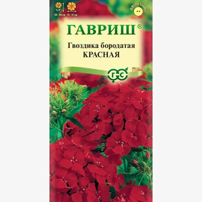 Гвоздика турецкая Красная/ Гавриш