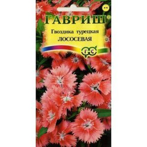 Гвоздика турецкая Лососевая/ Гавриш