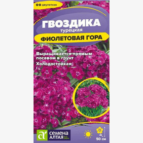 Гвоздика Фиолетовая гора/ Семена Алтая 0,1 гр. двулетник