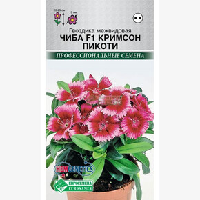 Гвоздика ЧИБА КРИСМОН ПИКОТИ межвидовая (5 шт)/ Евросемена