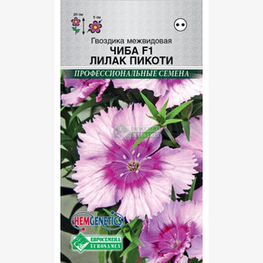 Гвоздика ЧИБА ЛИЛАК ПИКОТИ межвидовая (5 шт)/ Евросемена