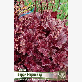 ГЕЙХЕРА БЕРРИ МАРМЕЛАД