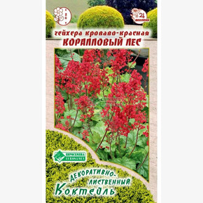 Гейхера КОРАЛЛОВЫЙ ЛЕС 7 шт/ Евросемена